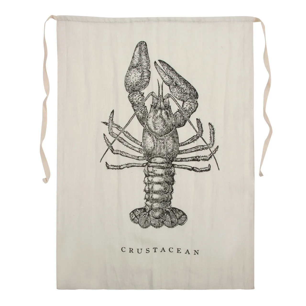 Crustacean Bib